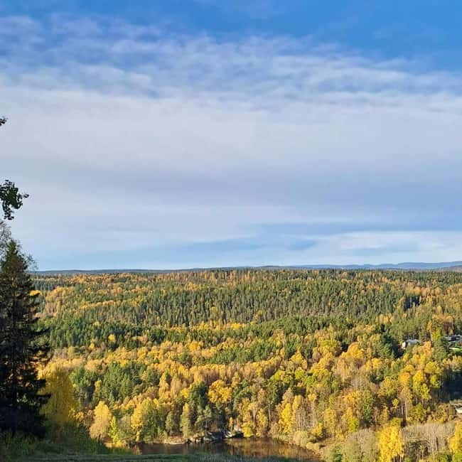 Oslo: Scenic Forest Hike with Dog & Local Guide - The Kolbotn start and the short village walk