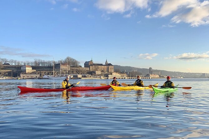 Oslo Sea Kayak Tour: Explore The Incredible Oslofjord - Why the harbor is the right place for a first Oslo kayak trip
