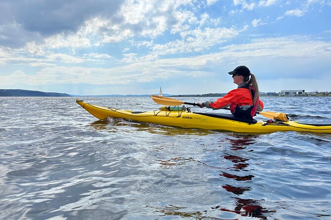 Oslo Sea Kayak Tour: Explore The Incredible Oslofjord - How hard is the paddling?