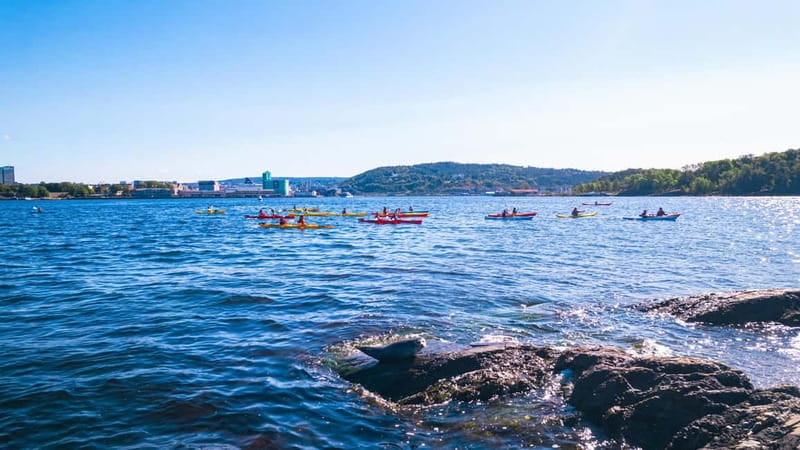 Oslo Sea Kayak Tour “Fjord City” - Starting at Tjuvholmen’s floating dock
