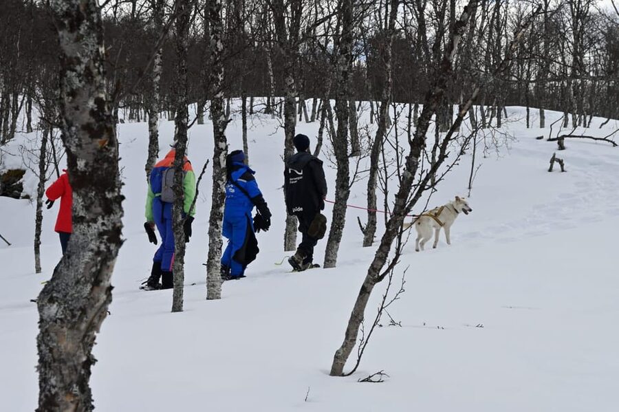 Oslo: Snowshoeing in the Forest with Norwegian BBQ - From Oslo Metro to Frognerseteren forest