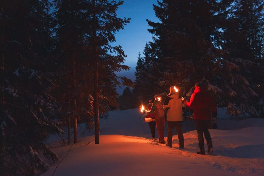 Oslo: Snowy Forest Torchlight Walk with Campfire - Key points to know before you book