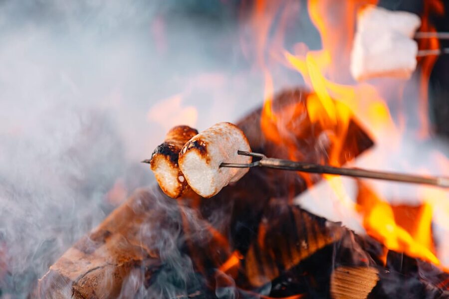 Oslo: Snowy Forest Torchlight Walk with Campfire - Weather, fire, and the need for proper clothing
