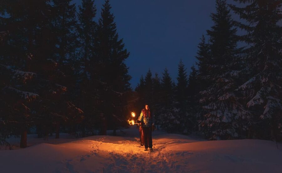Oslo: Snowy Forest Torchlight Walk with Campfire - The first view over Oslo