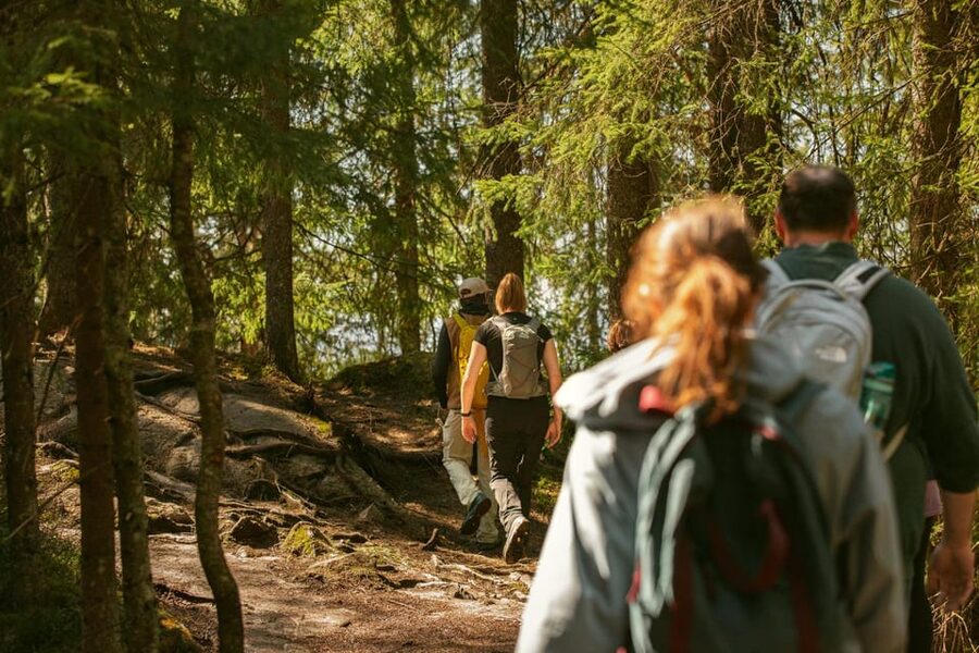 Oslo: The Spectacular Holmenkollen Walk - Key details of the Holmenkollen walk