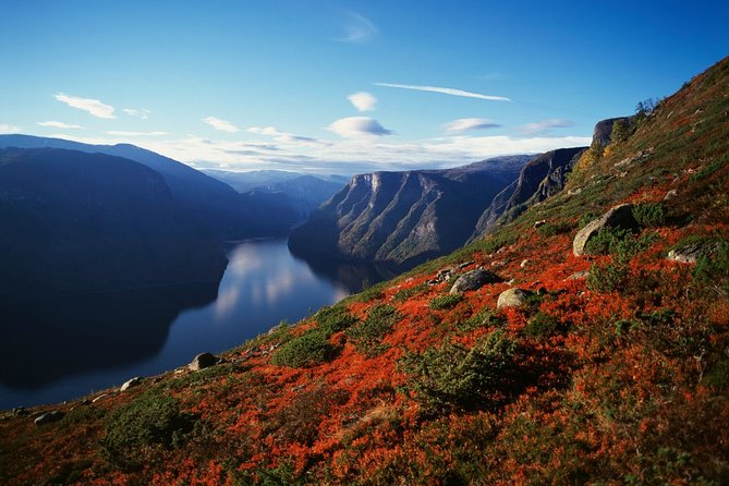 Oslo To Bergen Self-Guided Full Day Trip with Flåm Railway And Fjord Cruise - What this Oslo to Bergen journey really delivers
