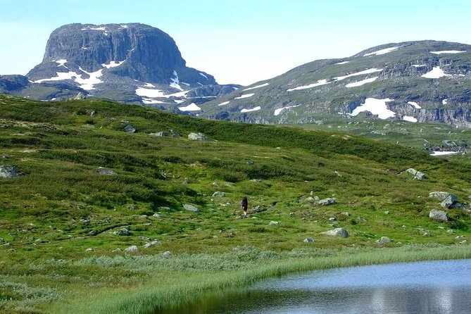 Oslo To Sognefjord Private Full Day Roundtrip Including Flam Railway - What the private format really gives you