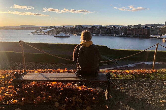 Oslo Unveiled: Private Walking Tour - Starting at Oslo Central Station and Ostbanehallen