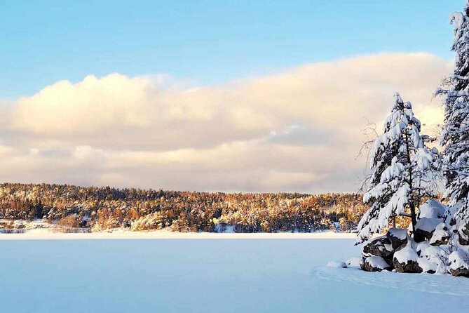 Oslo: Winter wonderland forest hike & campfire with a dog - Key points to know before booking