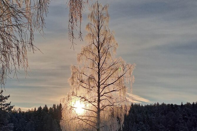 Oslo: Winter wonderland forest hike & campfire with a dog - Meeting Ingunn, Margarita, and Nero