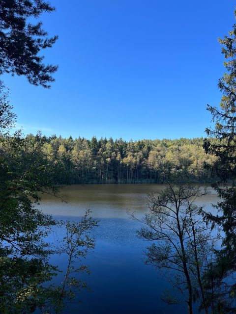 Oslo: Yoga & Hiking with a dog - A lake swim, if the conditions suit you