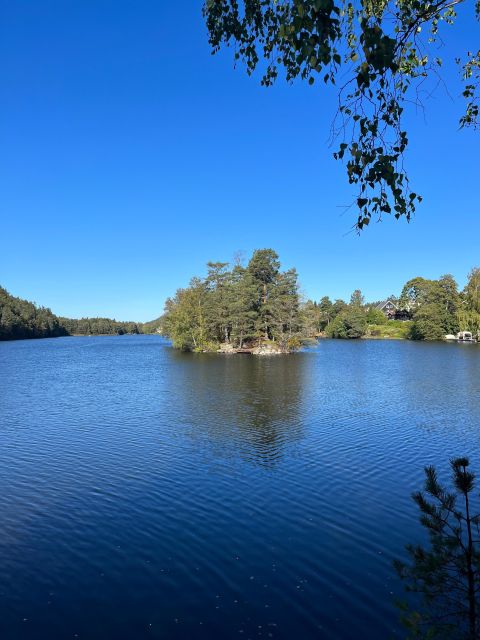 Oslo: Yoga & Hiking with a dog - Who will enjoy this morning most