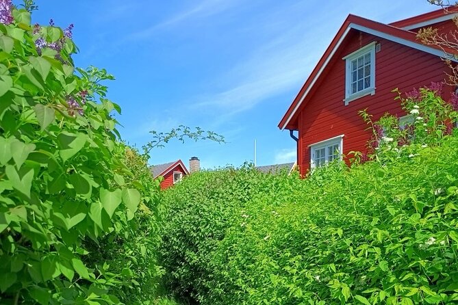 Oslofjord Island Hopping Tour - The quick facts that shape the day