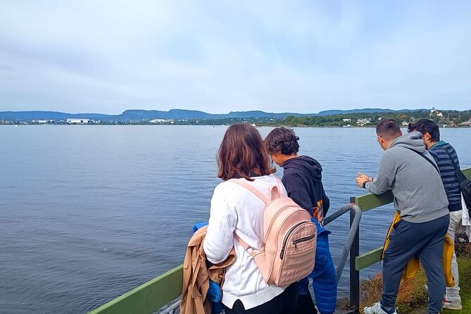 Oslofjord Island Hopping Tour - Hovedøya: monastery ruins, woods, and a possible swim