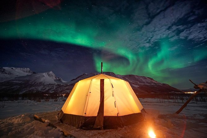 Overnight Stay with Reindeer Sledding & Feeding - Key details to know before booking