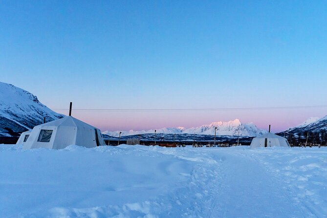 Overnight Stay with Reindeer Sledding & Feeding - Sami stories beside the wood fire