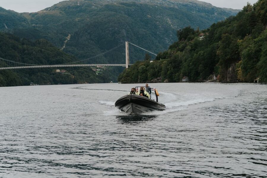 Øystese: Hardangerfjord RIB safari to the Fyksesund branch - Key points to know before booking