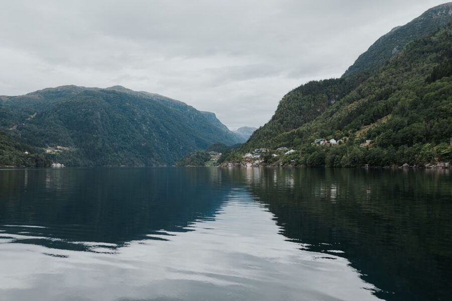 Øystese: Hardangerfjord RIB safari to the Fyksesund branch - What the speed is really like