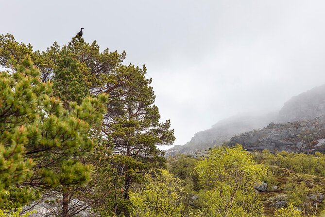 Preikestolen Hidden Trail Hike + Lunch and Canoe Trip - What the $212.61 price buys you