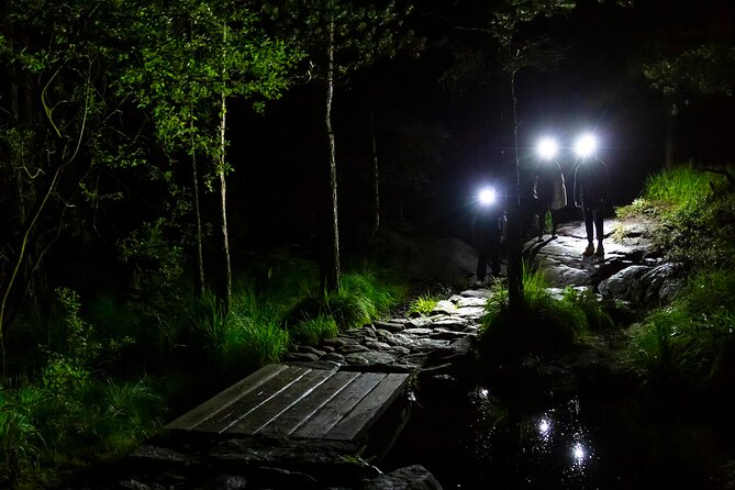 Preikestolen Sunrise Hike And Breakfast Buffet - Who should book this sunrise hike?