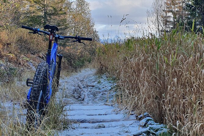 Premium eBike rental - Winter tires change the season