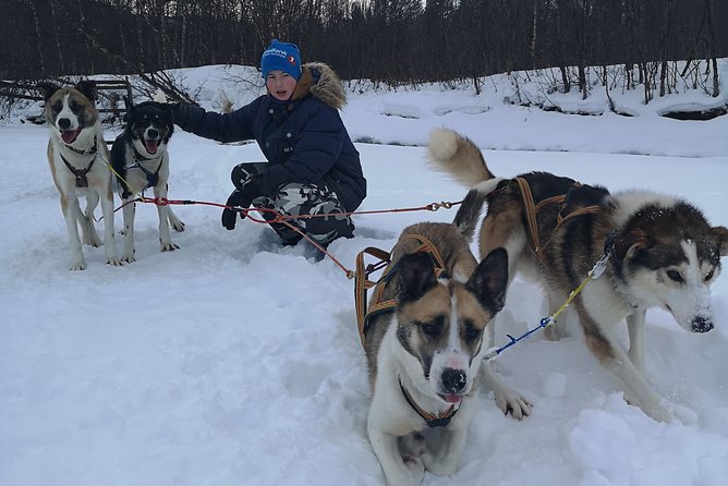 Privat sled trip with husky in the alta valley - Learning the sled and deciding who drives