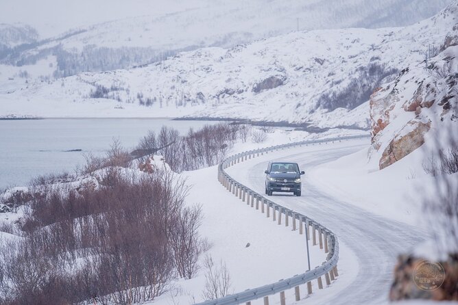 Private Arctic Fjord Roadtrip with Scenic Picnic from Tromso - Who gets the best value from this road trip
