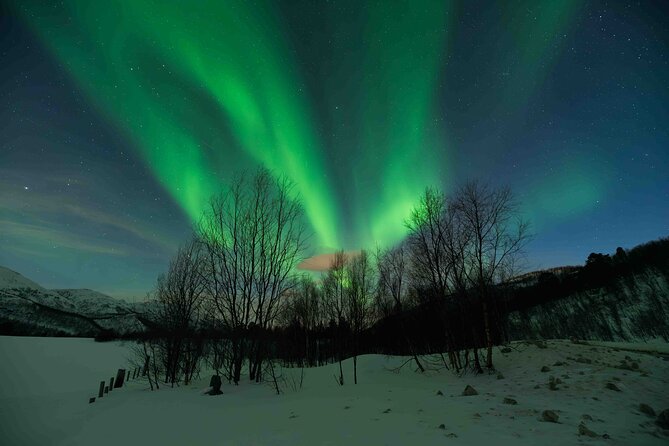Private Aurora Hunting with Professional Photographer from Alta - Stopping for the bonfire and Arctic warmth