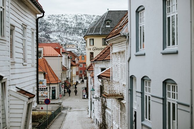 Private Bergen Walking tour with Funicular - Is $246.58 per person a fair price?