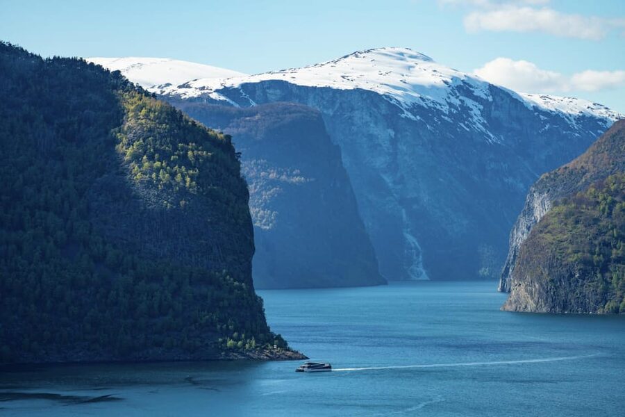 Private Day Tour- Flam Railway & Fjord Cruise From Bergen - The Flåm Railway, Norway’s great window seat