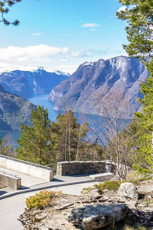 Private Day Tour- Flam Railway & Fjord Cruise From Bergen - The Nærøyfjord cruise shows Norway from the water