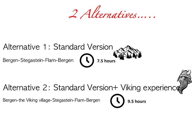 Private Day Tour to Flam and Stegastein - The Bergen drive is part of the experience