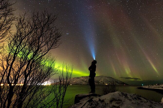 Private & Exclusive Northern Lights Tour with Professional guide - Why Tromsø works so well for an aurora hunt