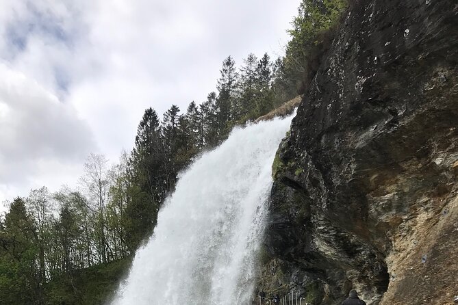 Private Full Day Hardangerfjord Tour From Bergen - Norsk Natursenter adds context to the scenery
