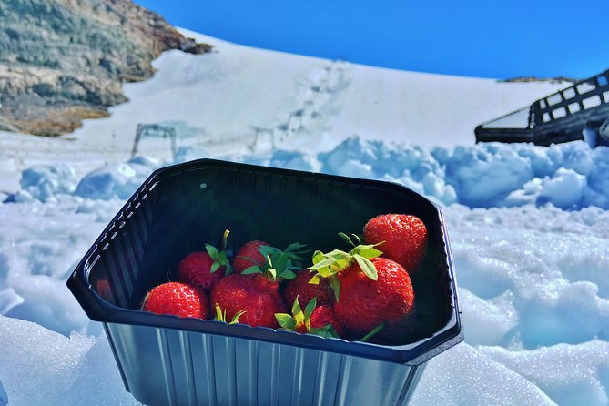 PRIVATE GUIDED TOUR: Folgefonna Glacier roundtrip from Bergen, 8 hours - How private touring changes the day