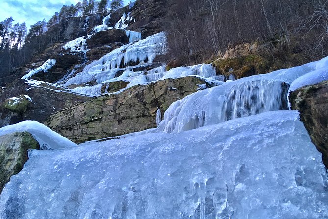 PRIVATE GUIDED TOUR: Highlights of Norway – Trip to the Sognefjord – WINTER - Gudvangen and the Nærøyfjord choice