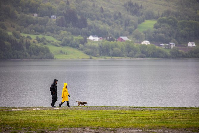 PRIVATE GUIDED TOUR: Norway's Highlights–Viking Special, 11 h - Why this private Bergen tour works