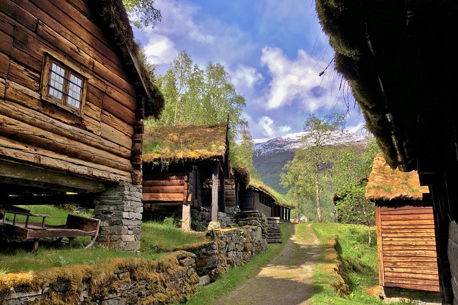 PRIVATE GUIDED TOUR: Norway's Highlights–Viking Special, 11 h - Nærøyfjord: the major extra to plan