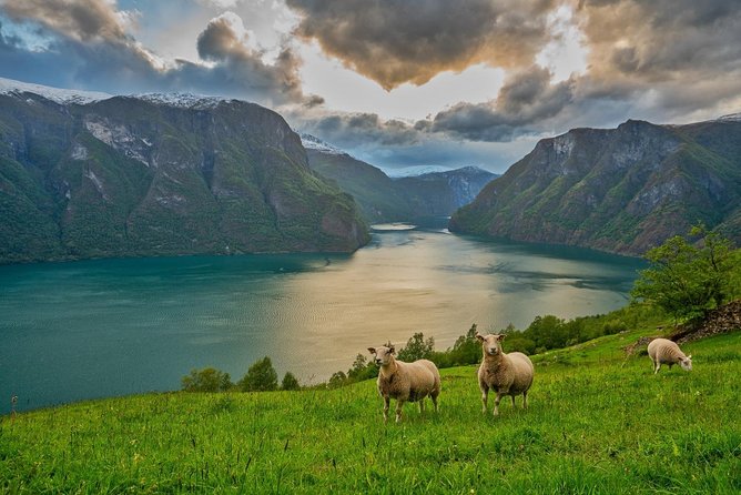 PRIVATE GUIDED TOUR: Norway's Highlights–Viking Special, 11 h - Tvindefossen and the climb to Stalheim