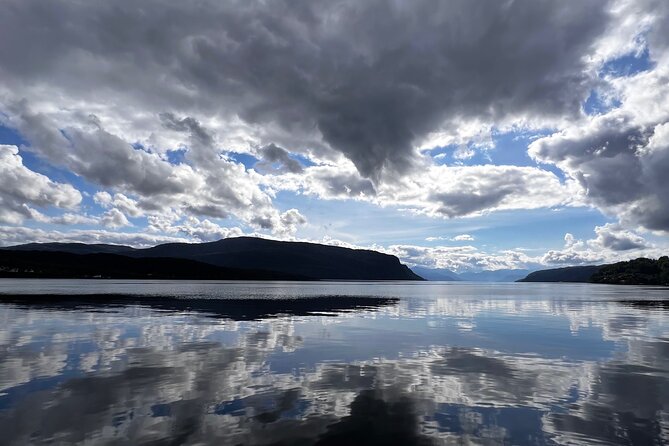 Private Guided Tour of Bergen and the Best of Norwegian Fjords - Key things to know before booking