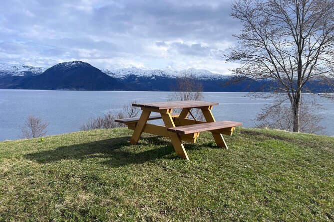 Private Guided Tour of Bergen and the Best of Norwegian Fjords - Omaholmen and the first real fjord views