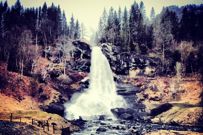 PRIVATE GUIDED TOUR: Queen of the Fjords - tour from Bergen, 6 hours - Hardangerfjord and the carvings at Vangdal