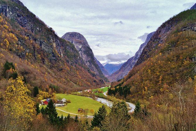 PRIVATE GUIDED TOUR: World Heritage Fjord Landscape – Viking Special – from Flåm - Njardarheimr, where Viking history becomes hands-on