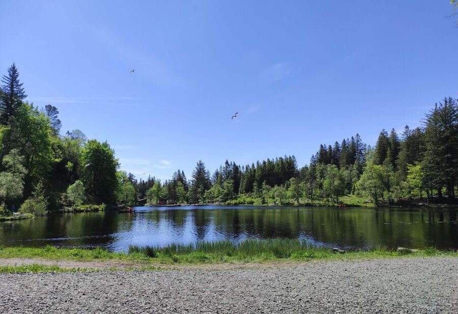 Private hiking tour Bergen mountains like a local - Choose the route that matches your legs