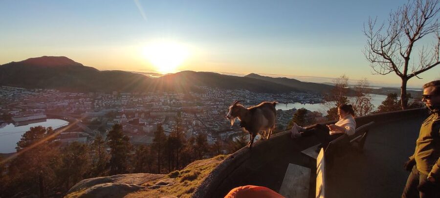 Private hiking tour Bergen mountains like a local - The funicular ride saves your energy for the trail