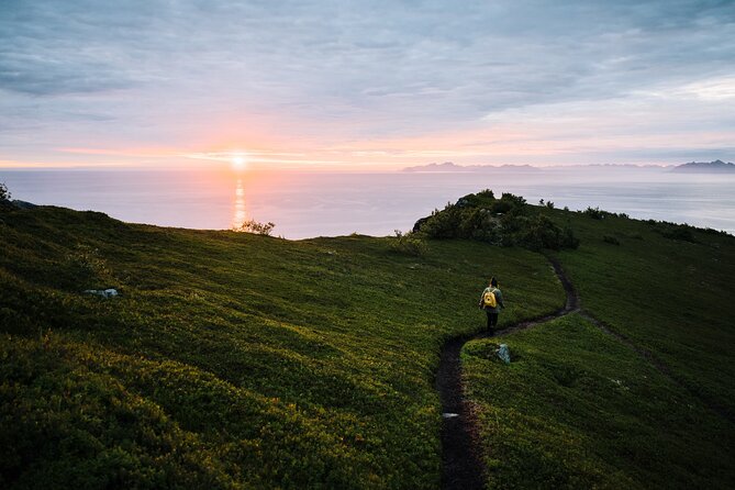 Private Midnight Tour To Gimsøya - Key points about the Gimsøya night outing
