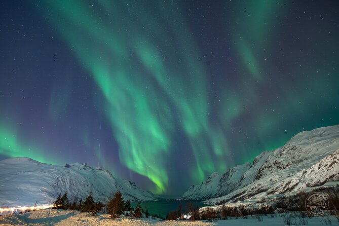 Private Northern Lights Chase with Photography from Tromsø - Why the Private Group Size Changes the Experience