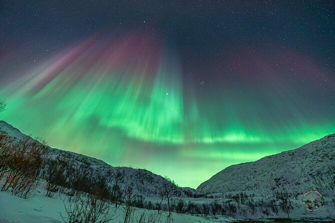 Private Northern Lights Chase with Photography from Tromsø - Weather, Solar Activity, and Honest Expectations
