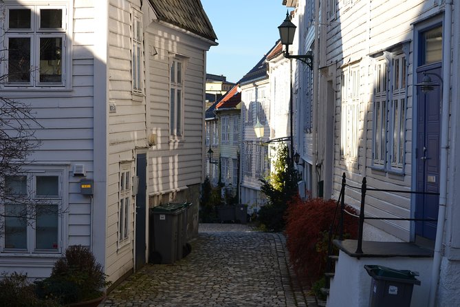 PRIVATE TOUR: Bergen city sightseeing, 3 hours - Adding Gamlehaugen for a royal stop