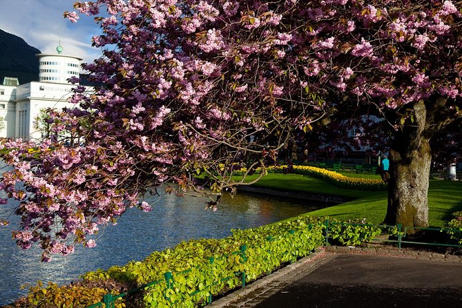PRIVATE TOUR: Bergen city sightseeing, 5 hours - Choosing between music, timber buildings, and royal Bergen